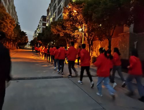 图片1.jpg 图片1.jpg