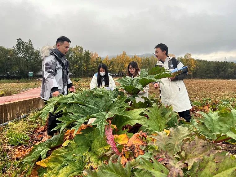 ‘绝知此事要躬行’——医学院药学行业实践、中药学行业实践活动顺利完成 第 5 张 ‘绝知此事要躬行’——医学院药学行业实践、中药学行业实践活动顺利完成 第 5 张