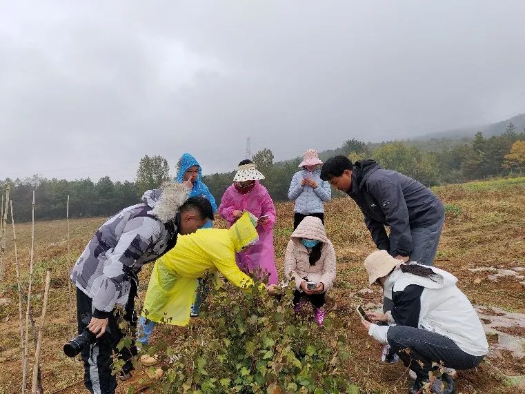 ‘绝知此事要躬行’——医学院药学行业实践、中药学行业实践活动顺利完成 第 6 张 ‘绝知此事要躬行’——医学院药学行业实践、中药学行业实践活动顺利完成 第 6 张