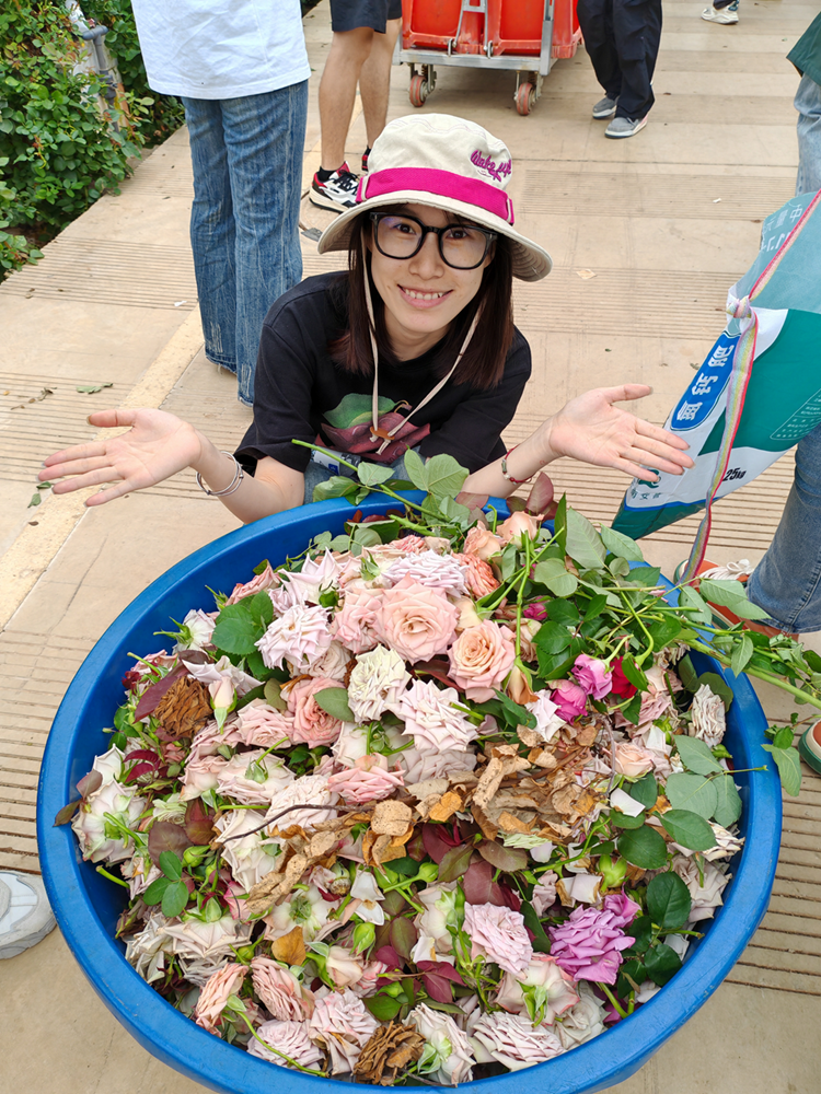 图片13.png 玫瑰飘香处,实践出真知  走进玫瑰花产区安宁诺斯沃德花卉产业有限公司的探索之旅    第 13 张