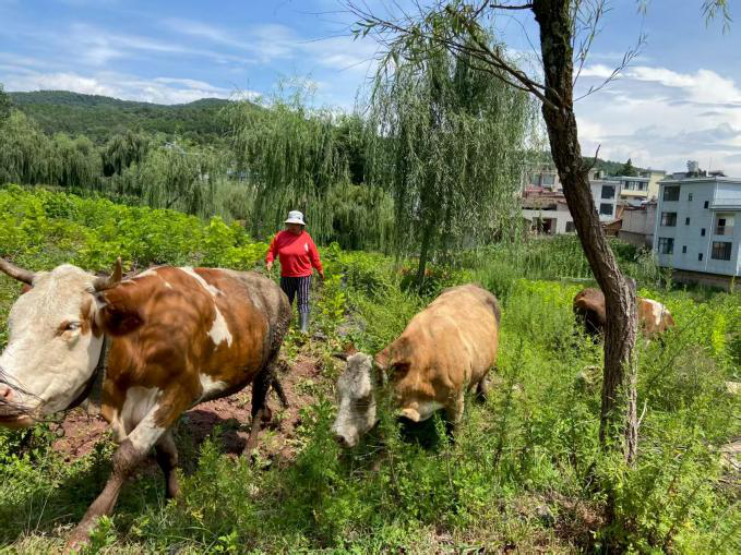 暑期社会实践 | 从课堂到田间地头,实践队用脚步踩出循坏经济的青春印记 第 5 张 暑期社会实践 | 从课堂到田间地头,实践队用脚步踩出循坏经济的青春印记 第 5 张