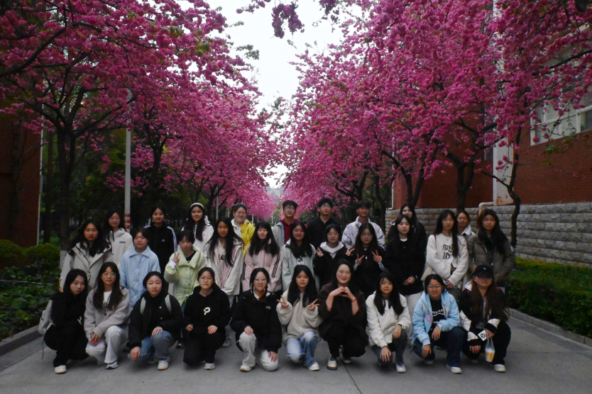 一站式学生社区 | 财会金融学院智慧社区开展“樱韵芳华,美好留存”压花书签制作 第 1 张 一站式学生社区 | 财会金融学院智慧社区开展“樱韵芳华,美好留存”压花书签制作 第 1 张