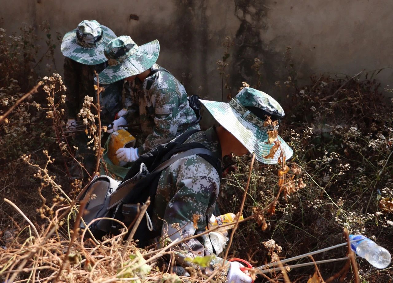 垃圾不落地 山林更美丽——黑林铺街道与云南经济管理学院开展护林环保行动 第 10 张