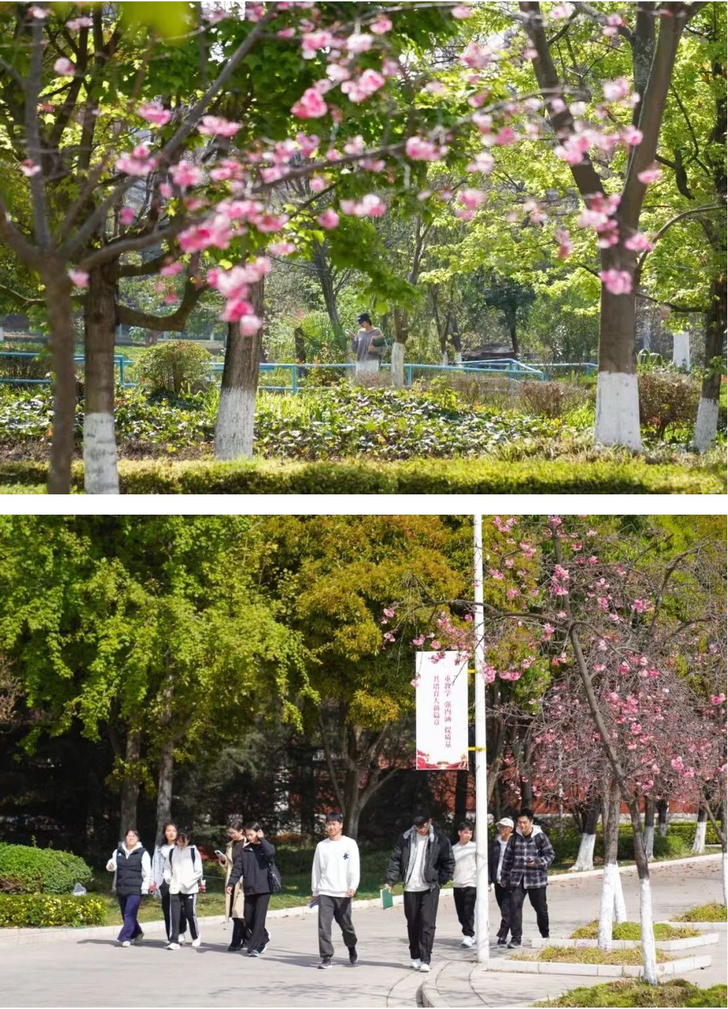 今天,云经管开学第一天! 第 13 张 今天,云经管开学第一天! 第 13 张